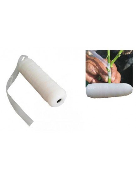 Aşı Bandı - Aşı Bağı Fidan